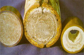 scale-inhibitor Why Scale Inhibitor is essential