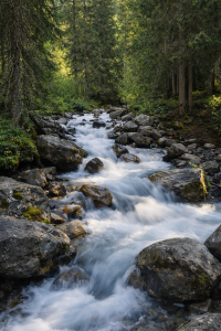 A clear mountain stream flowing over rocks through a forest with lush green foliage, symbolising natural water purity and sustainability.