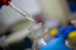 Close-up of a laboratory technician using a pipette to transfer a liquid sample into a glass container during testing.