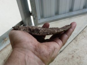 Close-up of a technician’s hand holding a thick, curved fragment of hardened mineral scale removed from a boiler during inspection, highlighting significant internal scaling and deposit accumulation.